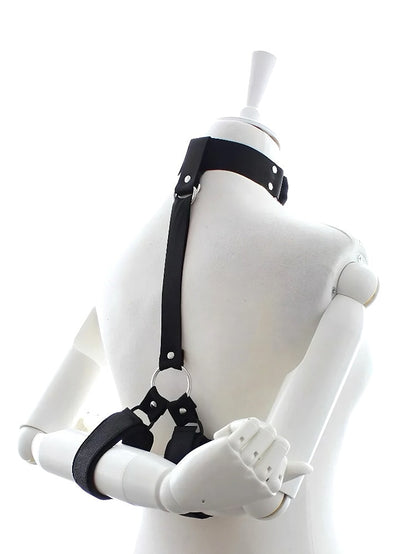 Collar and Wrist Restraint Harness